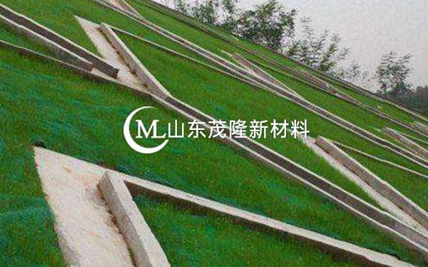 《都勻至安順公路項目》土工格柵、三維植被網施工