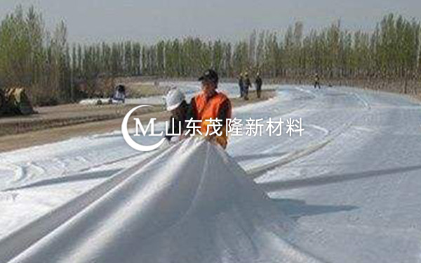《河北省邯鄲園博園》土工布、排水板施工