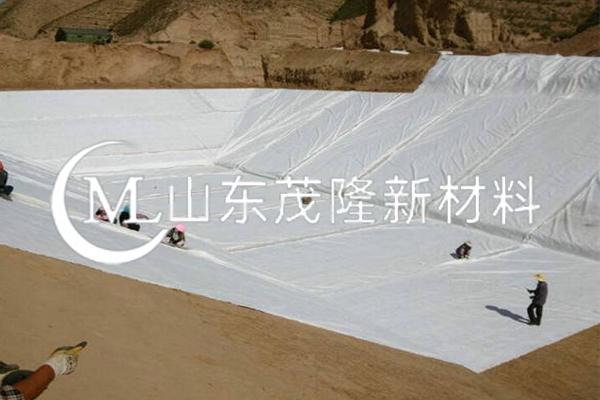《順北油氣田一區奧陶系油氣藏產能建設項目-五號聯合站建設工程項目》土工布施工