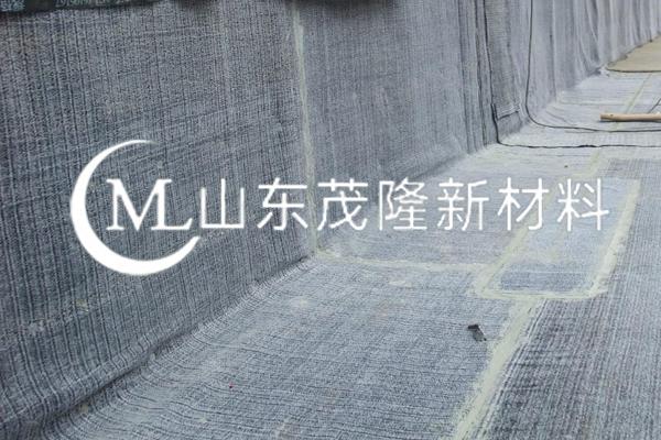 《鄆城圣元環保垃圾發電廠項目》 防水毯施工