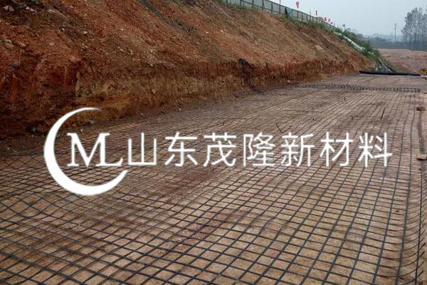 《榮縣快速通道建設項目》鋼塑土工格柵鋪設