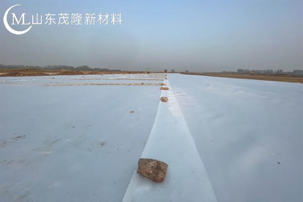 高強加筋土工布圖片  第2張
