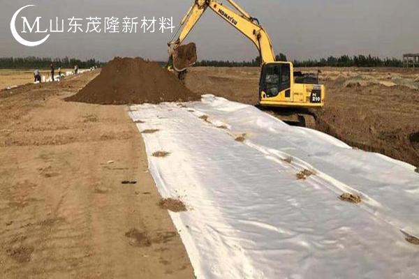 高強加筋土工布圖片  第11張