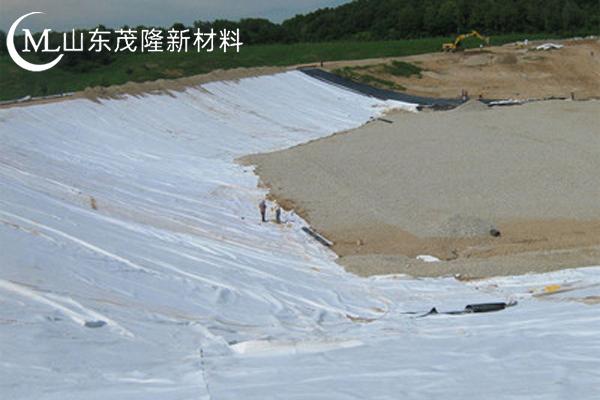 高強加筋土工布圖片  第10張
