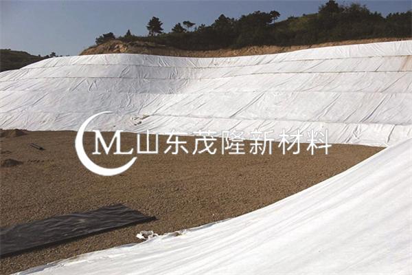 《陽江港進港航道改造工程項目》土工布施工